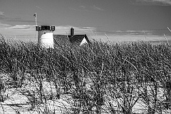 Beach Grass by Headless Stage Harbor Lighthouse -BW